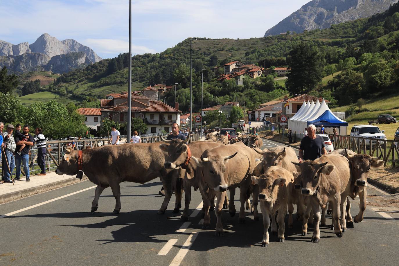 Fotos: Liébana celebra San Isidro