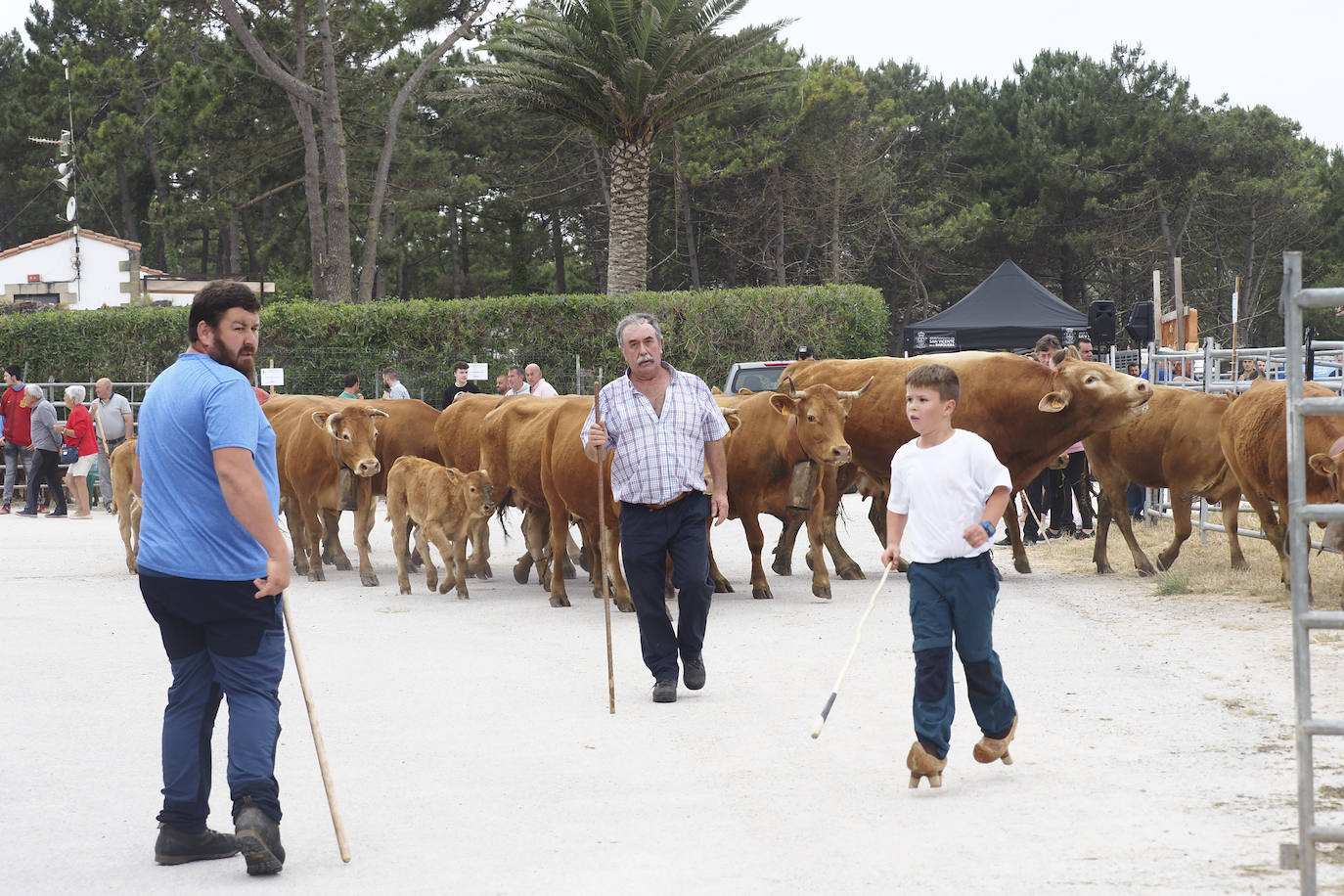 La villa acoge este fin de semana los actos, con feria ganadera incluida, que tradicionalmente se celebran en enero y que fueron aplazados por la pandemia