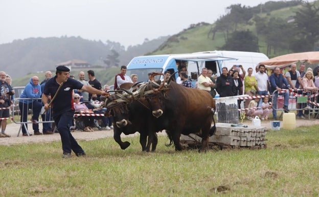 Imagen principal - Ganaderos durante el certamen de este domingo