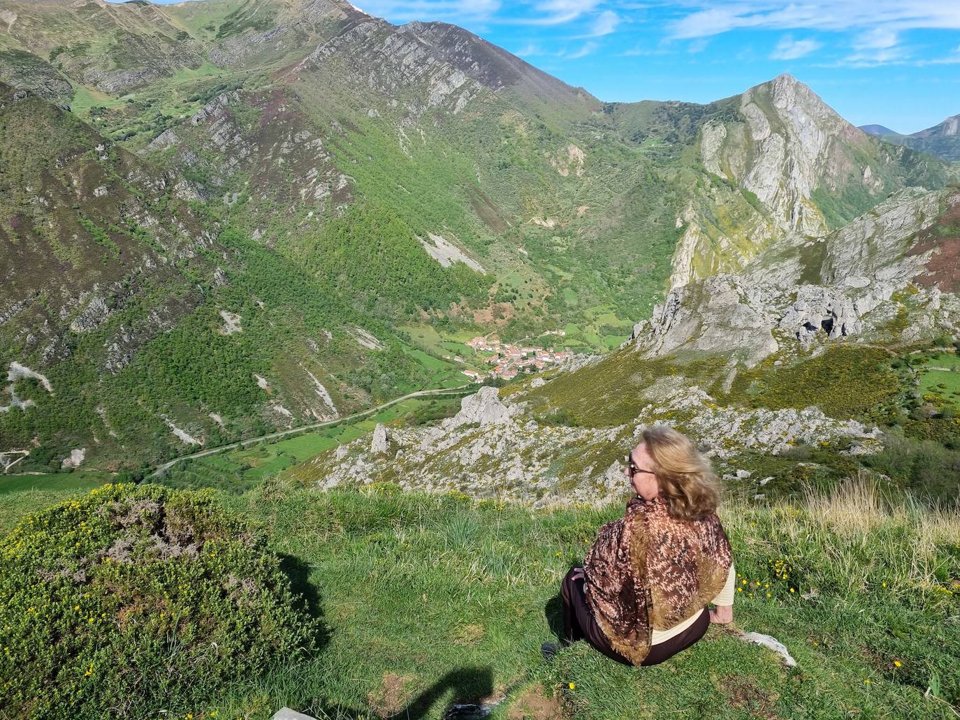 Aunque al avistamiento de osos en libertad no es tarea fácil y cuando se tiene suerte hay que hacerlo a una distancia entre 500 y 2.000 metros apreciando unas pequeñas motitas que se mueven entre roquedos y bosques, en la excursión se pueden apreciar otros animales como el gato montés, venados y rebecos, el esquivo urogallo, el águila real y el quebrantahuesos, y con suerte algún lobo o zorro. Por supuesto, no faltan las razas domésticas autóctonas como el caballo asturcón o la vaca carreñana, vigilados de cerca por los pacientes vaqueiros. Pero tal vez lo mejor de esta visita a la Cordillera Cantábrica sea el escenario en que todos esos animales caminan o vuelan porque aquí se encuentran también 142 especies de mariposas, dos tercios del total que hay en España.