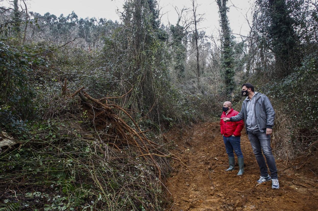 El alcalde de Cartes y el concejal de Medio Ambiente muestran una acacia arrancada en una de las pistas. 