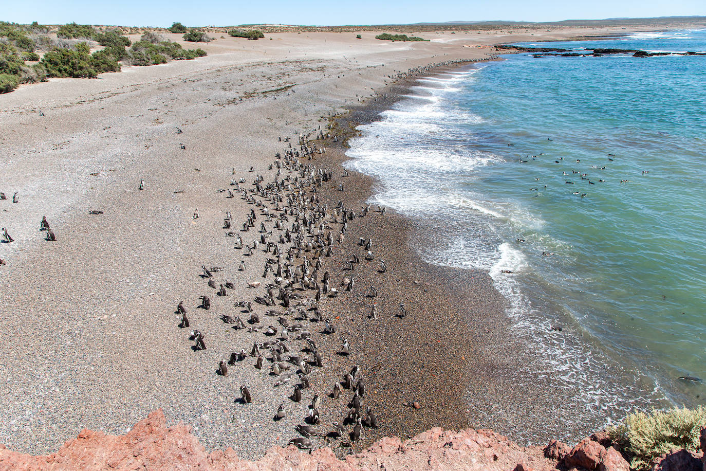 Península Valdés (Argentina)