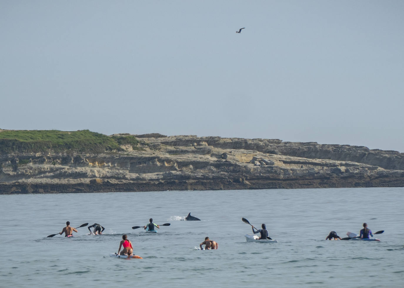 Los delfines se dejaron ver por primera vez en la playa de El Sardinero a media mañana. 