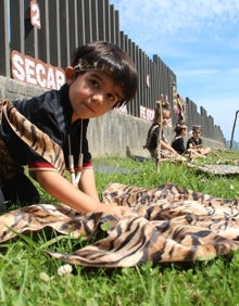 Imagen secundaria 2 - La vuelta a la historia en 80 pasos por el colegio de Latas