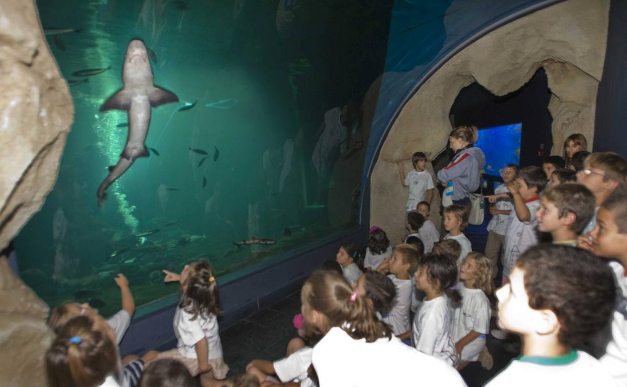 Los más pequeños son de los usuarios que más disfrutan las visitas al museo cántabro.