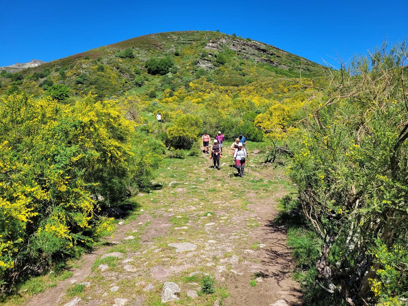 El Grupo de Montaña Cacicedo en la cima. 