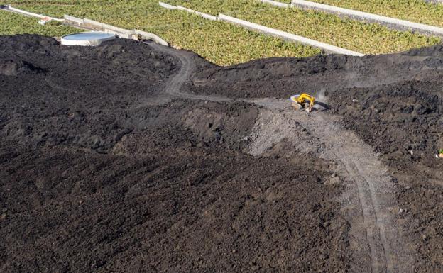 La lava destruyó 370 hectáreas cultivadas, sobre todo de plataneras. 