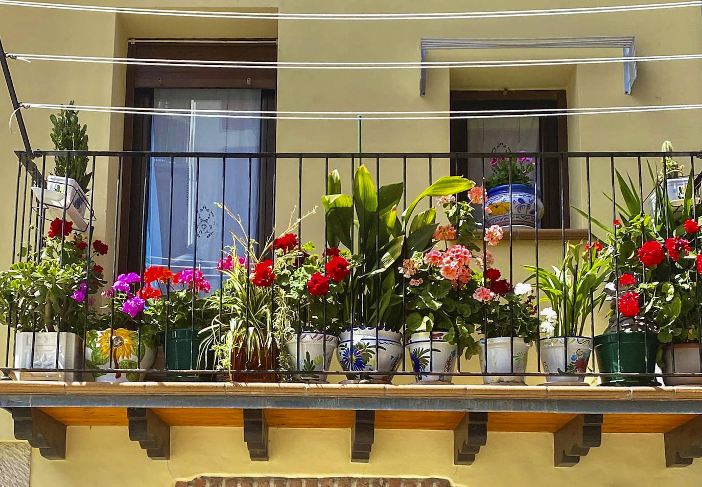 Fotos: Los balcones más floridos de Laredo