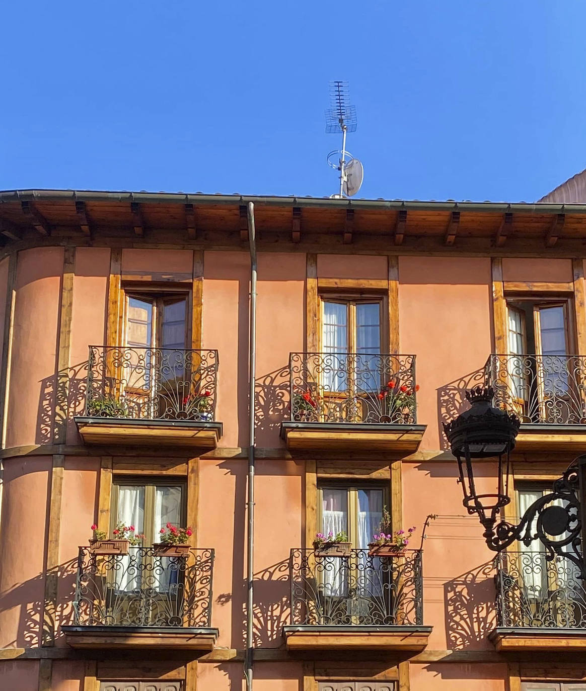 Fotos: Los balcones más floridos de Laredo