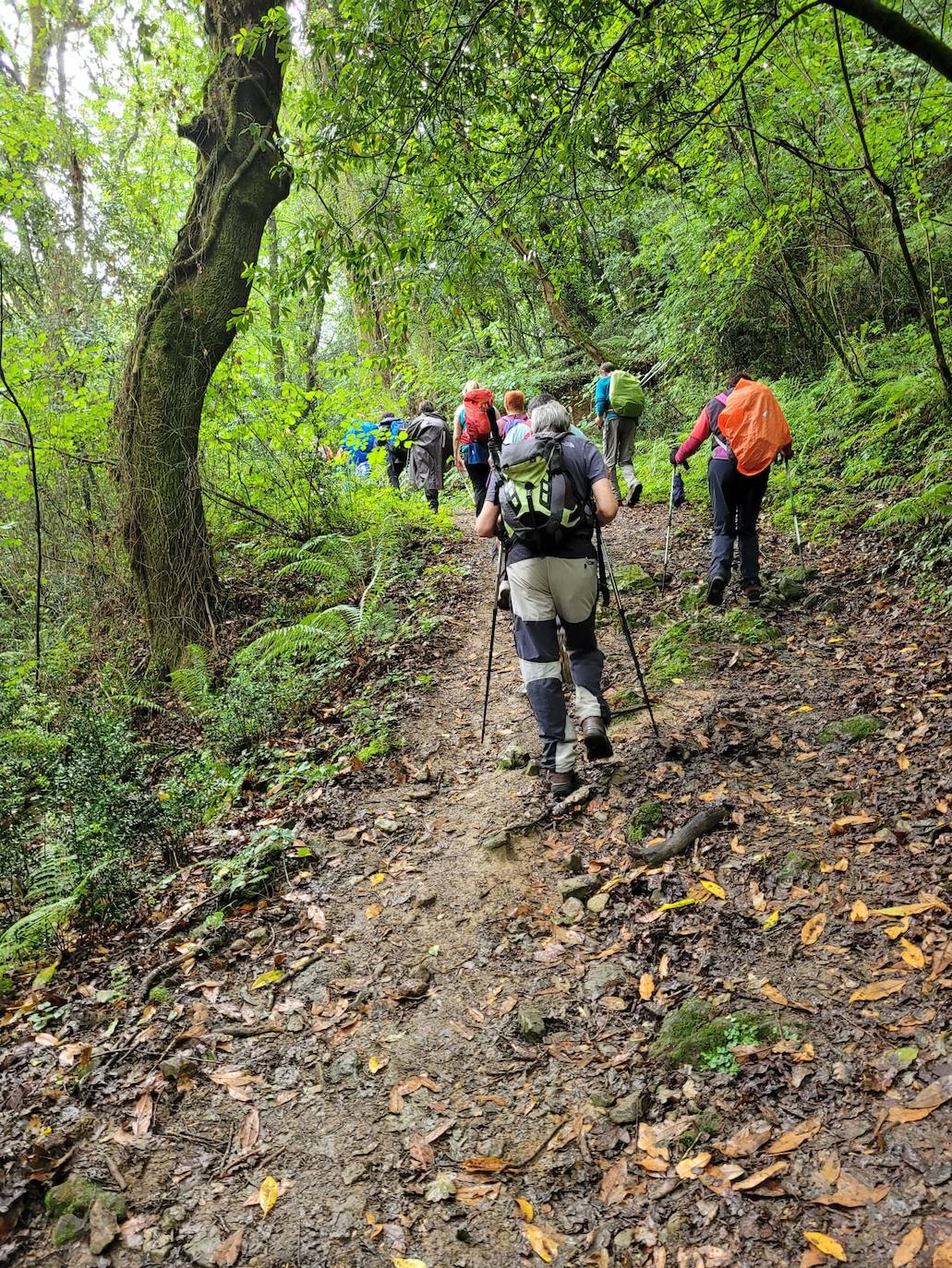 Fotos: Más de 500 senderistas celebran el Día del Montañismo Cántabro