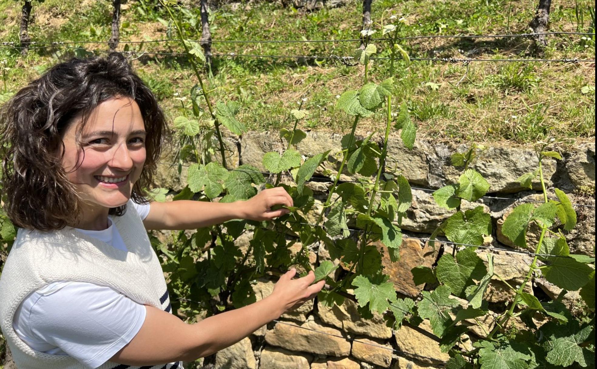 Inés plantó las primeras viñas en una finca familiar en el centro de Trebuesto en el año 2014.