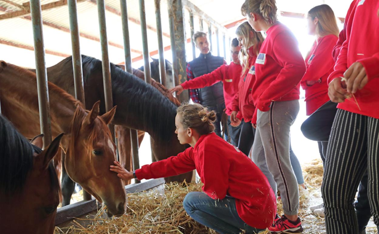 Alumnos participantes en un programa para aprender a domar al caballo. 