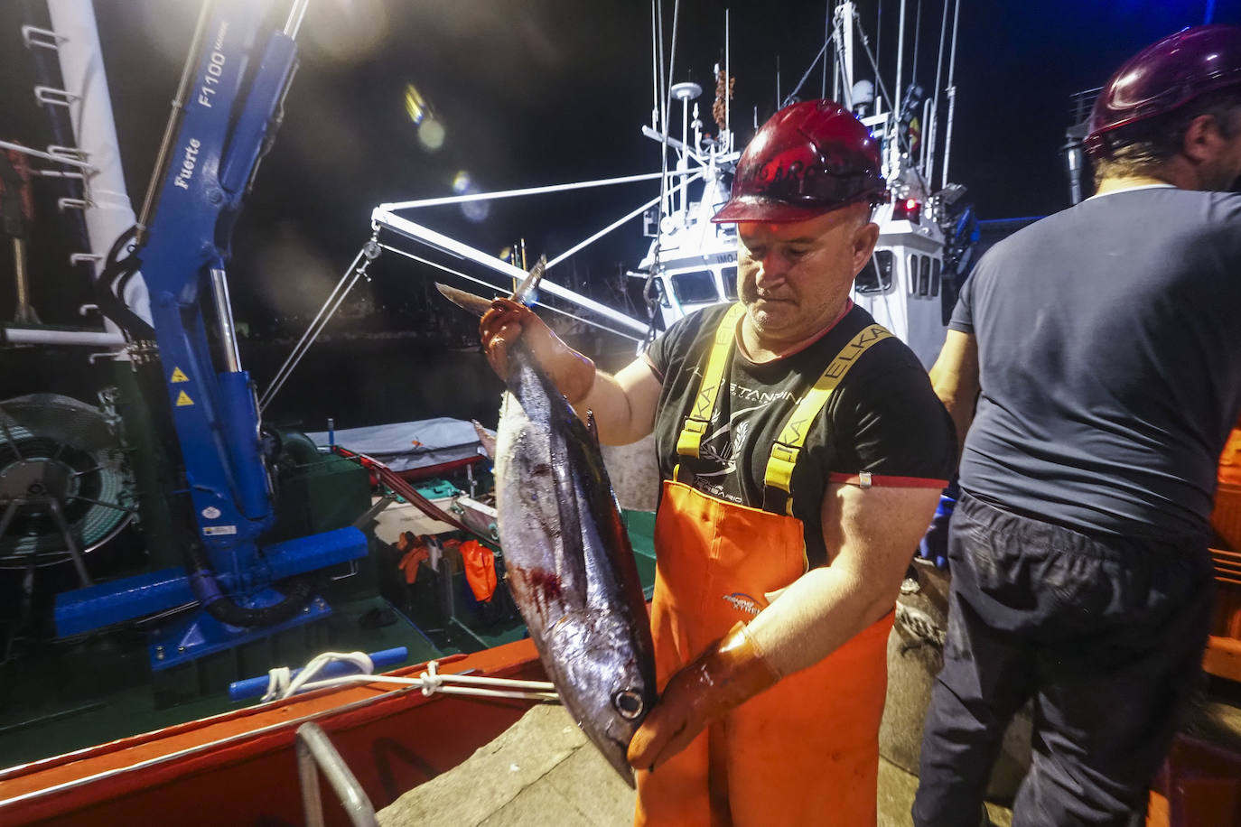 Fotos: Descarga de bonito en Santoña y subasta en la lonja de Laredo