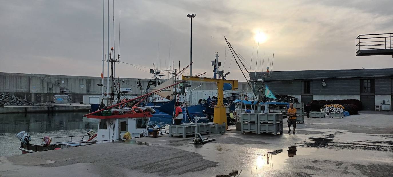 Fotos: Descarga de bonito en Santoña y subasta en la lonja de Laredo