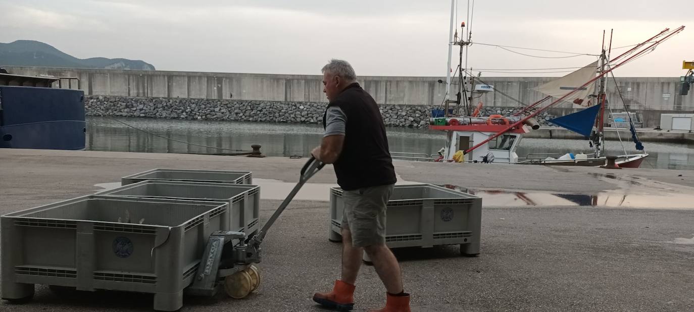 Fotos: Descarga de bonito en Santoña y subasta en la lonja de Laredo