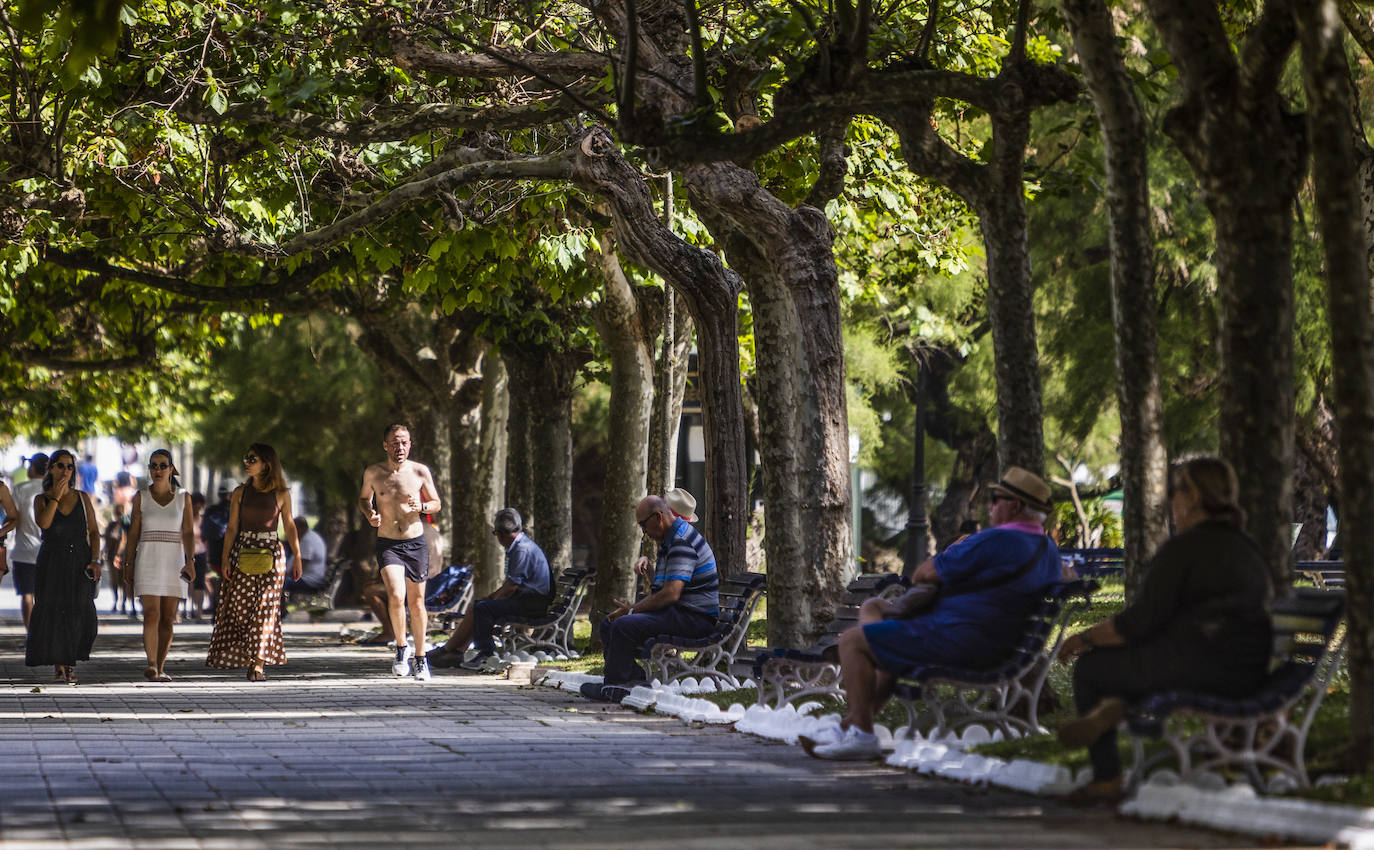 La sombra, el lugar más buscado junto a la playa de El Sardinero