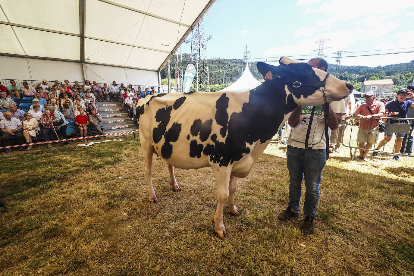 Este domingo se ha celebrado la 145 edición del Concurso-exposición del ganado vacuno frisón de San Antonio, en Renedo de Piélagos, que ha contado con la participación de 46 animales procedentes de 10 ganaderías de la región. En este marco, se han otorgado los premios más relevantes, incluso el de 'Gran Vaca Campeona', que en esta ocasión ha recaído en la ganadería Llera Her S.C, de Valdáliga. La feria forma parte de las actividades que se han celebrado en el municipio para celebrar la festividad de San Antonio, entre las que también destaca un concurso monográfico de mastín español; la feria agroalimentaria Gran Fiesta de la Leche, arrastre de bueyes y un espectáculo ecuestre.