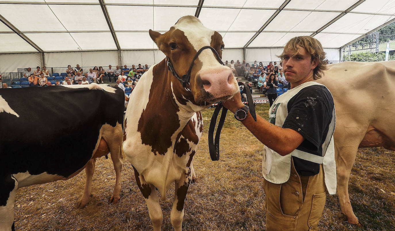 Este domingo se ha celebrado la 145 edición del Concurso-exposición del ganado vacuno frisón de San Antonio, en Renedo de Piélagos, que ha contado con la participación de 46 animales procedentes de 10 ganaderías de la región. En este marco, se han otorgado los premios más relevantes, incluso el de 'Gran Vaca Campeona', que en esta ocasión ha recaído en la ganadería Llera Her S.C, de Valdáliga. La feria forma parte de las actividades que se han celebrado en el municipio para celebrar la festividad de San Antonio, entre las que también destaca un concurso monográfico de mastín español; la feria agroalimentaria Gran Fiesta de la Leche, arrastre de bueyes y un espectáculo ecuestre.