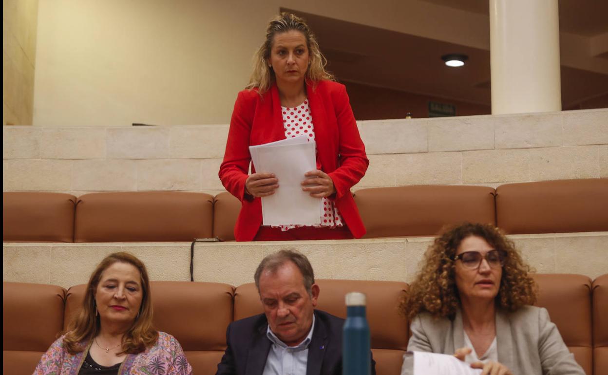 Arriba, Marta García, ex de Ciudadanos. Abajo, los socialistas Algorri, García Oliva y De la Cuesta.