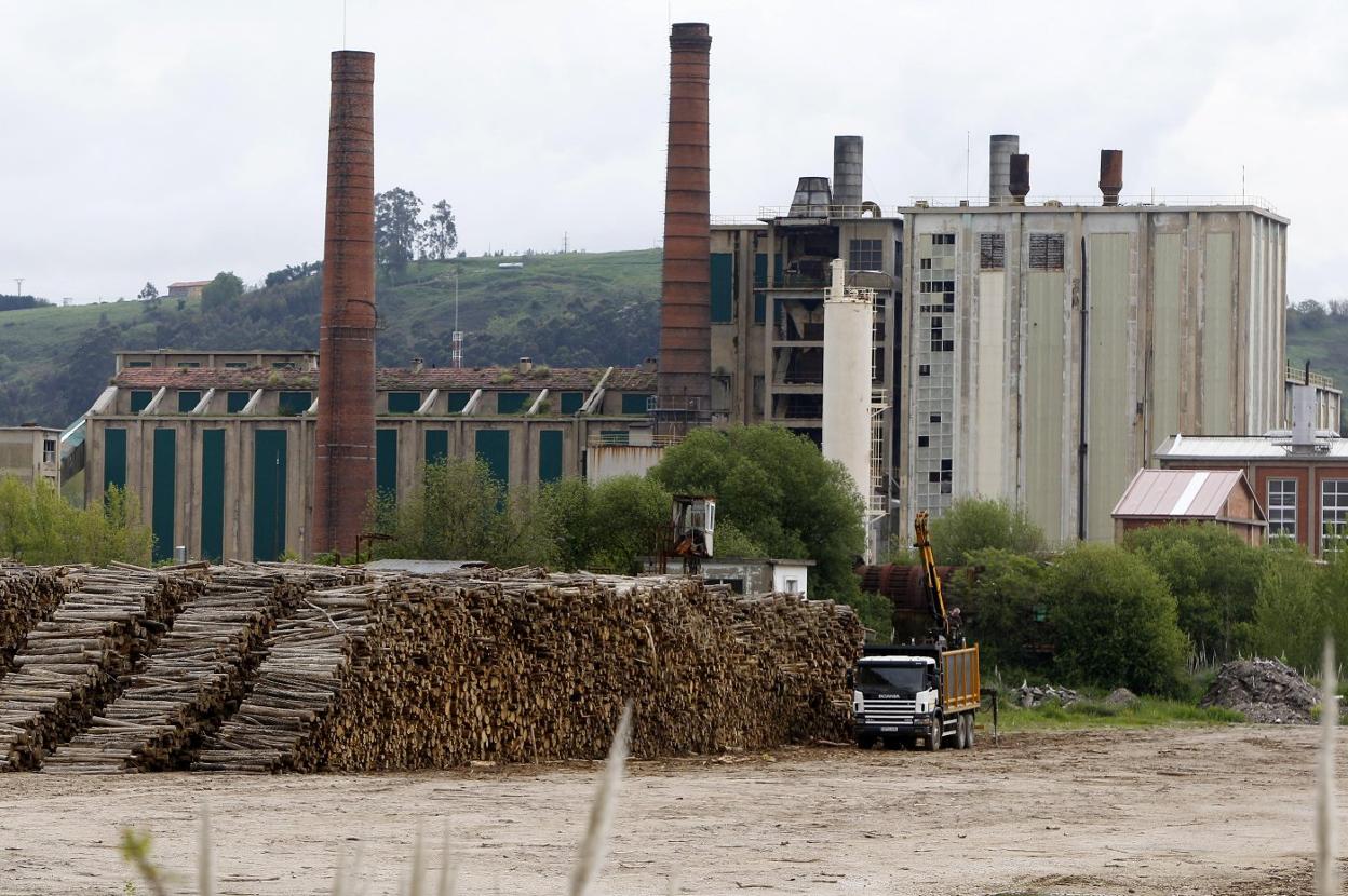 Estéreos de madera en las instalaciones de Sniace, en abril de 2020, con la producción ya detenida desde febrero.