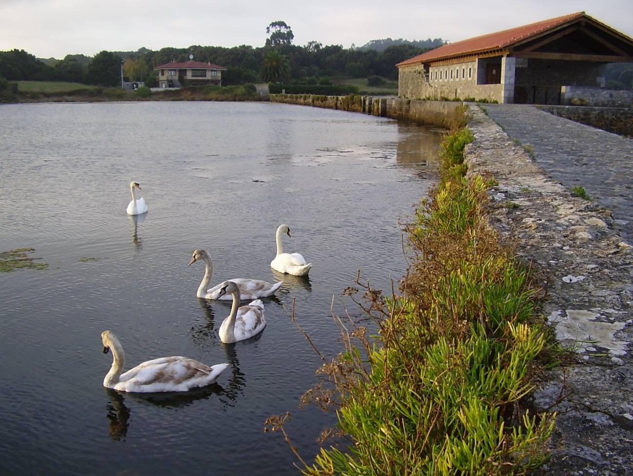 CI PN Marismas de Santoña, Victoria y Joyel. Plazas libres: 12. Duración: 3 horas. Desnivel: 12 metros. Distancia: 2,5 Km. Tipo de recorrido: Circular. Tipo de firme: Sendero, pasarela de madera. Dificultad: Baja.