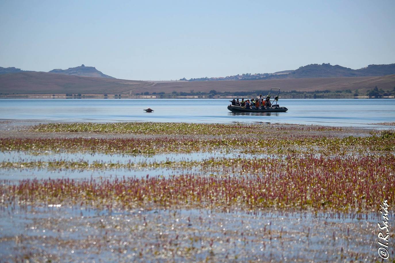 Centro Ornitológico Embalse del Ebro, ENP de Campoo Los Valles. Duración: 2 horas. Dificultad: Baja. Desnivel: 0 metros. Distancia horizontal: 25 km. Tipo de recorrido: Circular.