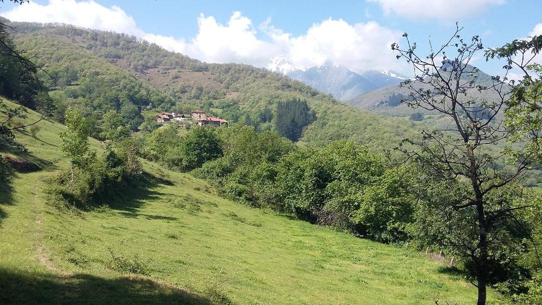 Casa de la Naturaleza de Pesaguero, Red Natura 2000 en Liébana. Plazas libres: 15. Duración: 2,30 horas. Longitud: 4 kms. Desnivel: 230 metros. Dificultad: Baja. Gratuita. Necesaria reserva previa. 