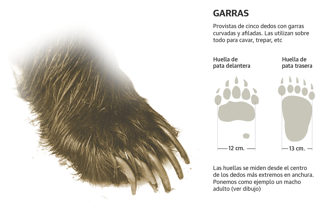 Scroll Story imagen 0