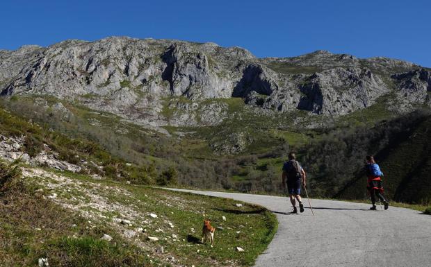 Primer tramo de subida hacia el Liño, por pista ganadera serpenteante avanzando en ascenso por la montaña 