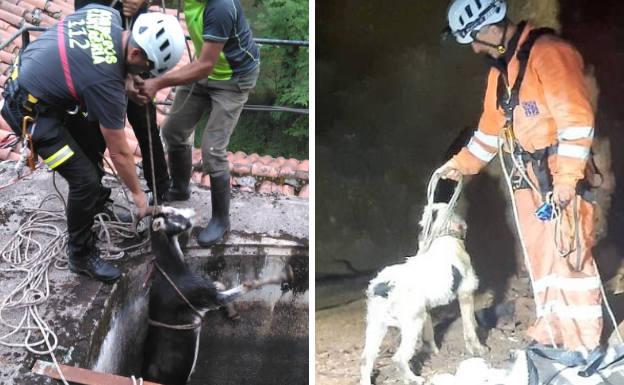 La cabra, el perro y la ajetreada guardia de los bomberos del 112 para sacarlos de pozos