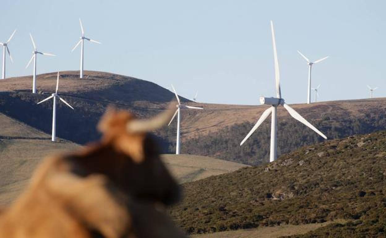 Parque eólico situado en Galicia 