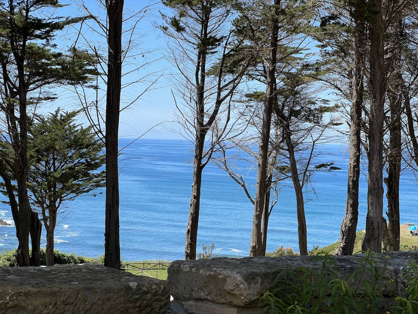 Samuel Fernández desarrolla propuestas muy gustosas con toques creativos pero sin olvidar los conceptos clásicos | La carta cuenta con una amplia y atractiva variedad de entrantes antes de llegar a los pescados del día