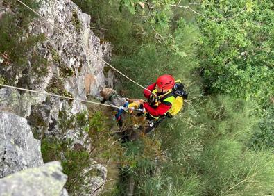 Imagen secundaria 1 - Bomberos del 112 salvan a un perro que llevaba días subido a una piedra en un precipicio de Tudanca