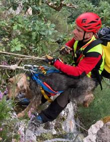 Imagen secundaria 2 - Bomberos del 112 salvan a un perro que llevaba días subido a una piedra en un precipicio de Tudanca