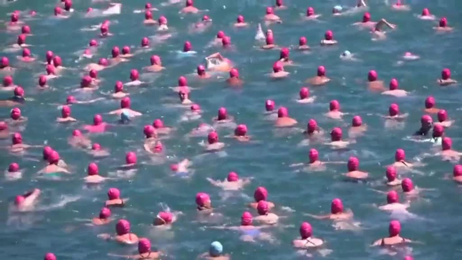 Más de 6000 nadadores participan en el cruce del lago de Zurich