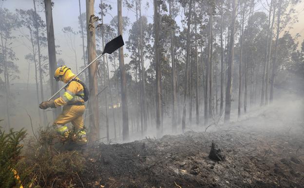 El fuego se ha producido en la zona conocida como El Jaro.