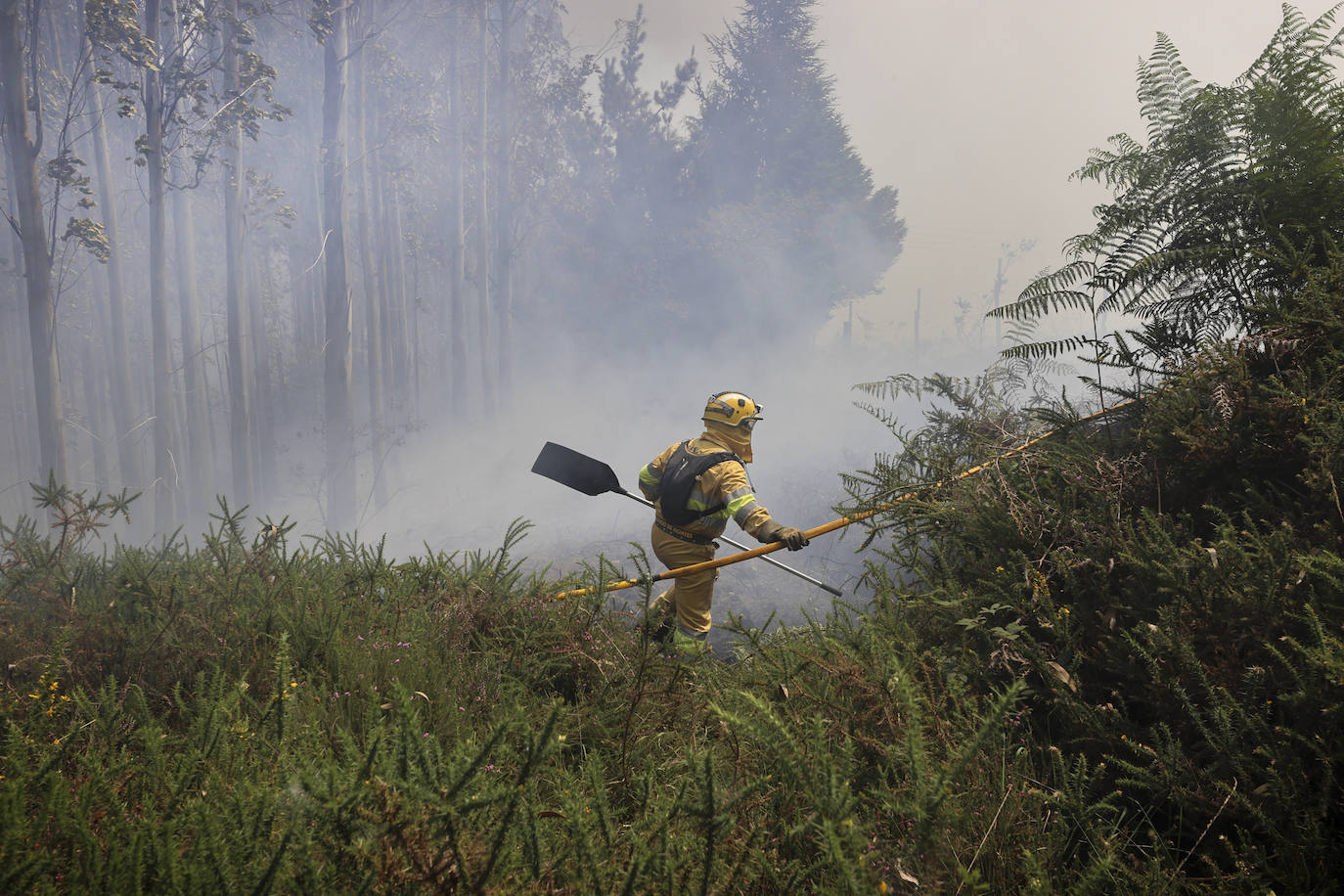 Fotos: La ola de calor deja el primer incendio intencionado