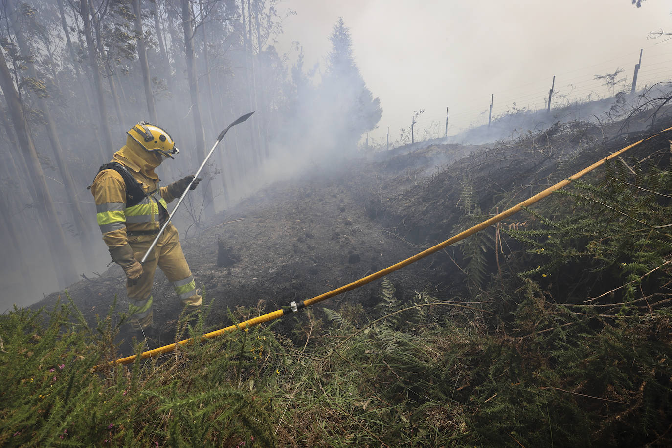 Fotos: La ola de calor deja el primer incendio intencionado