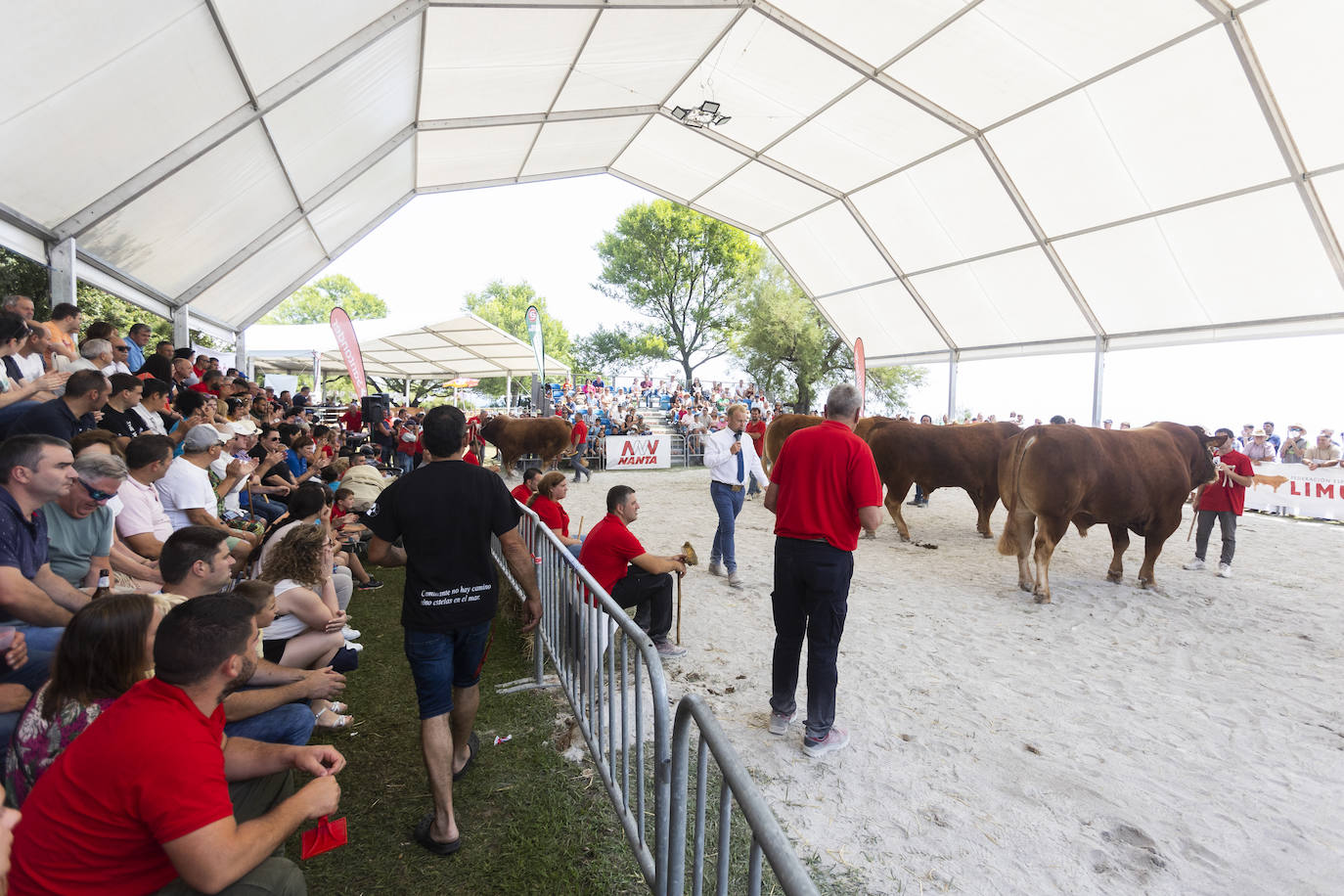 Fotos: Segunda jornada del I concurso de Ganado Vacuno de Mataleñas