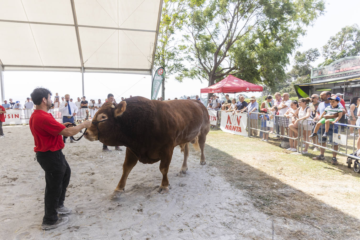 Fotos: Segunda jornada del I concurso de Ganado Vacuno de Mataleñas