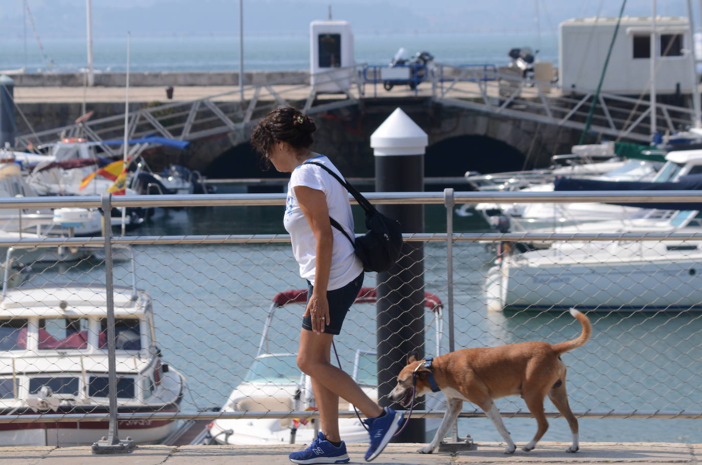 Cantabria se achicharra y San Felices de Buelna registra la temperatura máxima del país (38,4º).