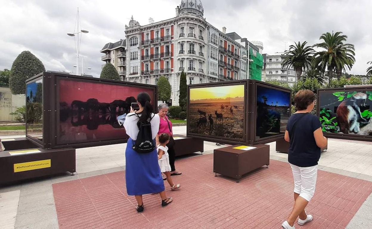 Naturaleza en estado puro en la muestra 'de polo a polo', en Castro
