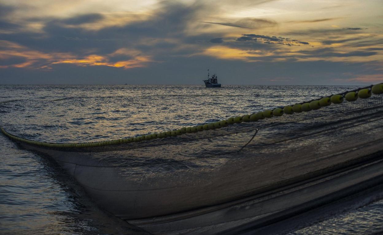 Redes de pesca en el Mar Cantábrico para recoger anchoas.