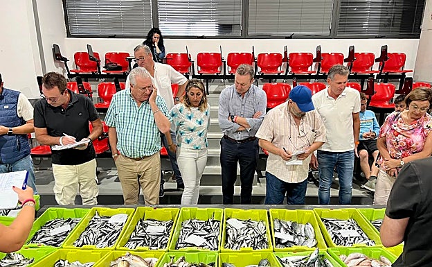 Imagen principal - El consejero y la directora de Pesca han seguido con atención la subasta de distintas especies en la lonja 