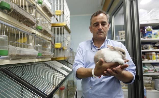 Roberto Fernández, de Jungla, enseña uno de los conejos de su tienda.