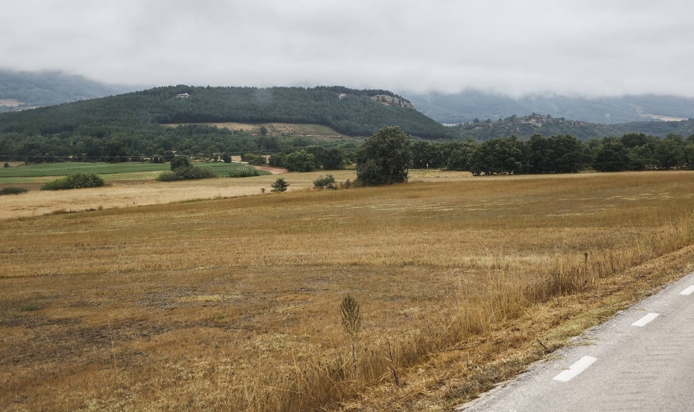 Fotos: La sequía obliga a imponer las primeras restricciones de consumo de agua en Cantabria