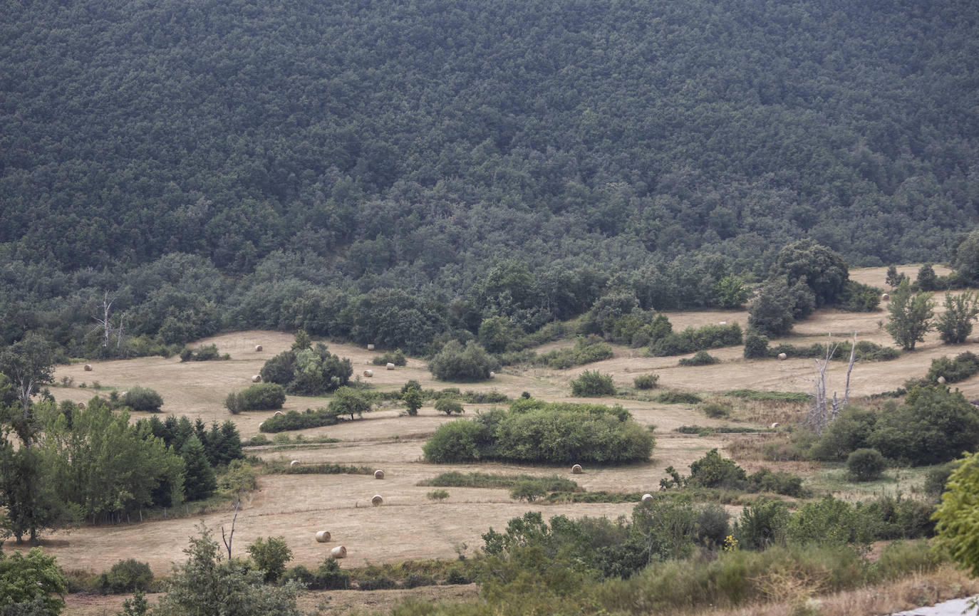 Fotos: La sequía obliga a imponer las primeras restricciones de consumo de agua en Cantabria