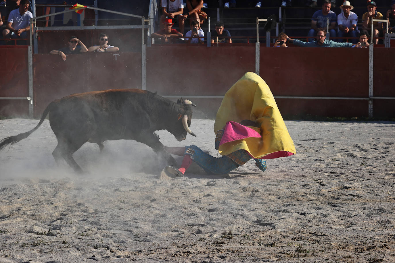 Fotos: Imágenes del festejo taurino de Treceño