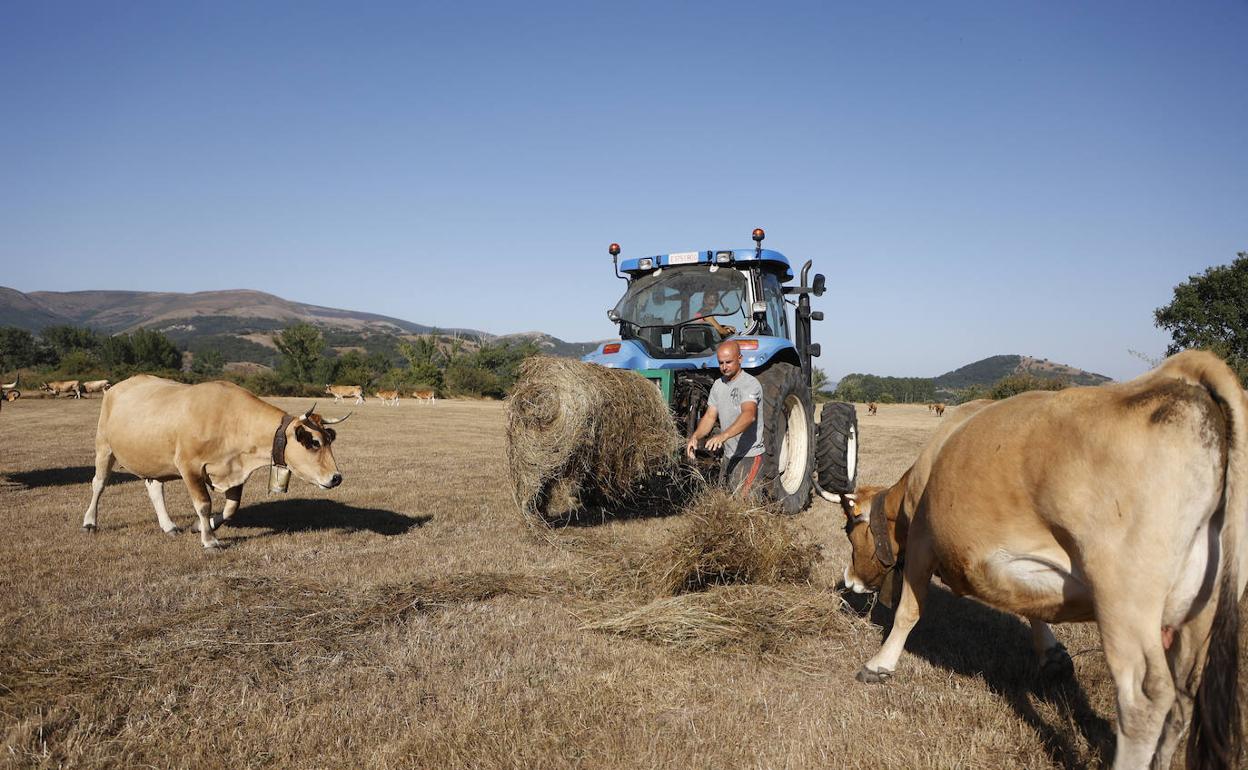 Los campos están muy secos en Cantabria.