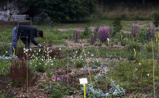 Imagen principal - Ocho paisajistas crean nuevos jardines en La Busta para impulsar su profesión